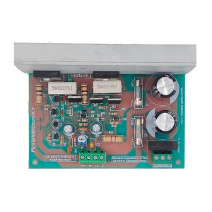 برد آمپلی فایر MONO 250W