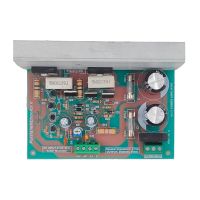 برد آمپلی فایر MONO 250W