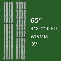 بک لایت 65 اینچ ایوولی مدل 65EV250