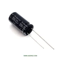 خازن 22uF 250V ORG